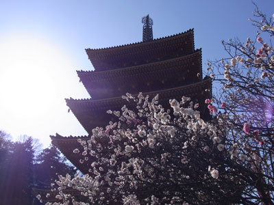 高幡不動