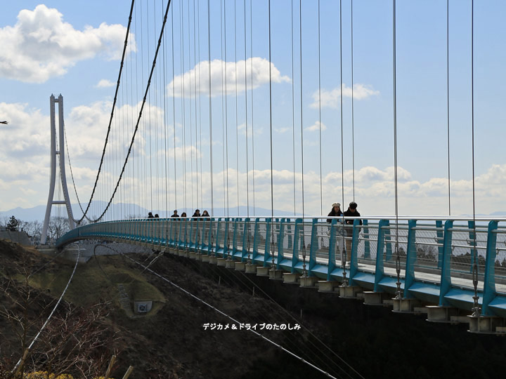 日本一の三島大吊り橋を歩いてきました。