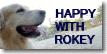 Happy with Rokey