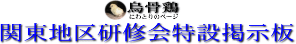 �֓��n�挤�C����݌f����