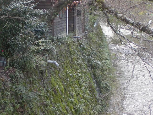 img0013.jpg
