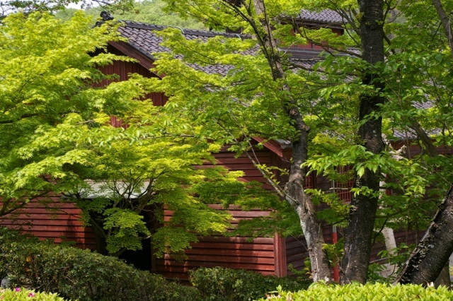img0034.jpg
