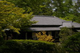 img0006.jpg