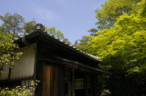 img0009.jpg