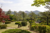 img0020.jpg