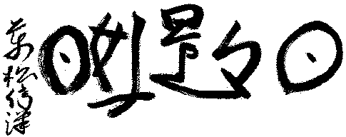 日々是好日